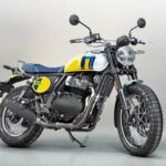 Royal Enfield bear 650